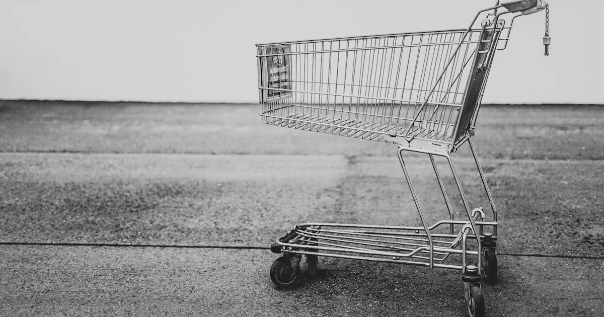 Tráfego Pago para E-commerce